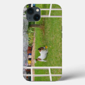 Fox Terrier Play Ball Case-Mate iPhone Hülle (Rückseite)