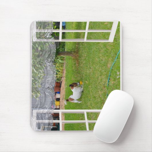 Fox Terrier Play Ball, Mousepad (Mit Mouse)