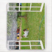 Fox Terrier Play Ball, Mousepad (Vorne)