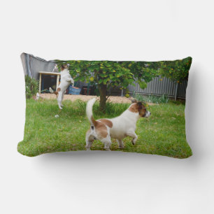 Fox Terrier Play Time Lumbar Cushion Lendenkissen