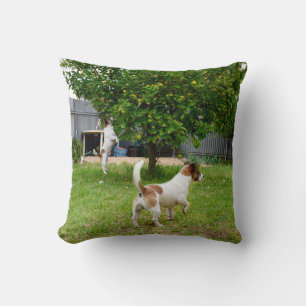 Fox Terrier Play Time Throw Cushion Kissen