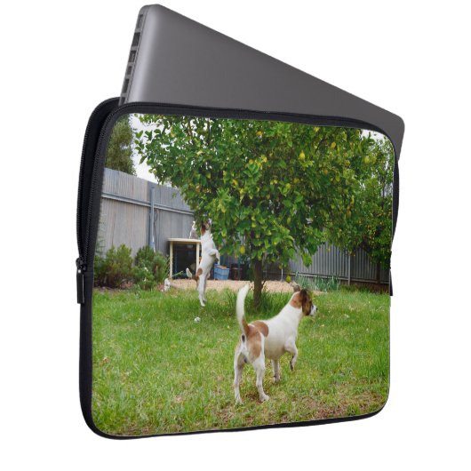 Fox Terrier Playtime, 13 Zoll Laptop-Sieb. Laptopschutzhülle (Vorne Rechts)