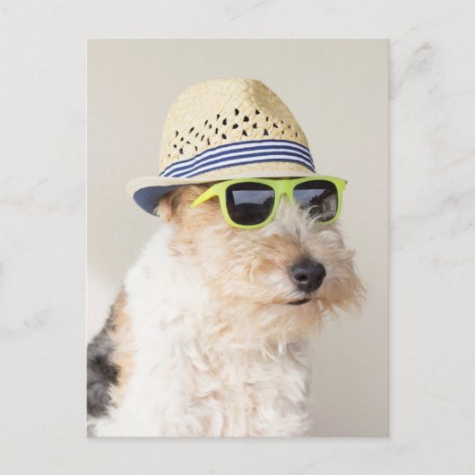 Fox Terrier Postkarte (Vorderseite)