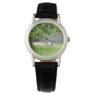 Fox Terrier Scare Face Ladys Black Leather Watch Armbanduhr