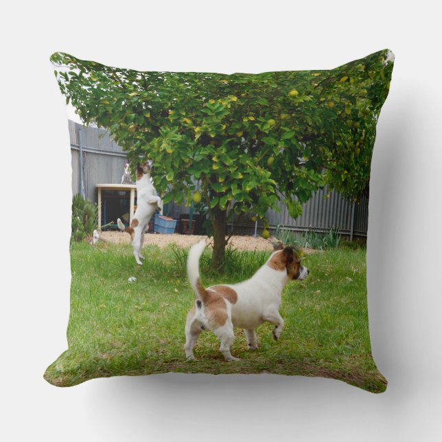 Fox Terrier spielt Time Big Throw Cushion Kissen (Vorderseite)