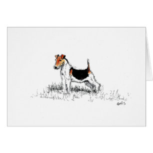 Fox Terrier stehend stolz