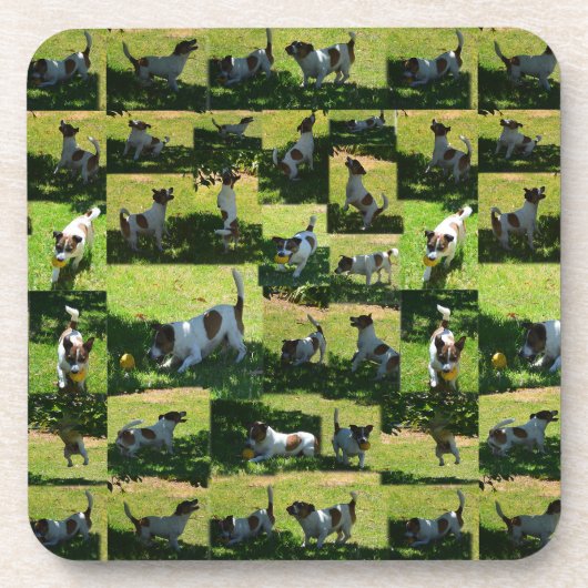 Fox Terrier, The Hard Day Untersetzer (Vorderseite)