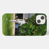 Fox Terrier The Leap, iPhone 13 Fall Hülle (Rückseite (Horizontal))