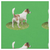 Fox Terrier The Stance, Stoff (Nahaufnahme)