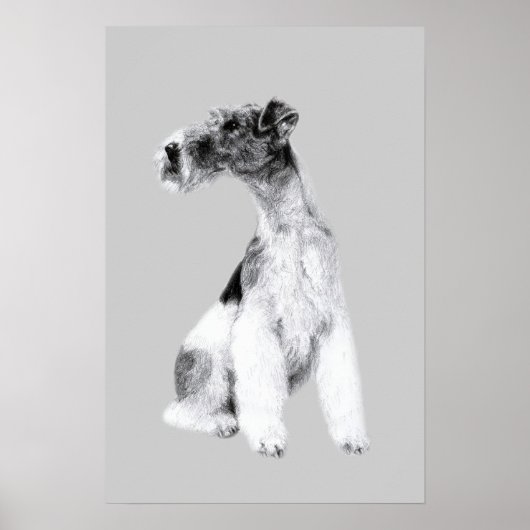 Fox Terrier Zeichnend Poster (Vorne)
