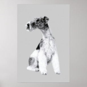 Fox Terrier Zeichnung Poster