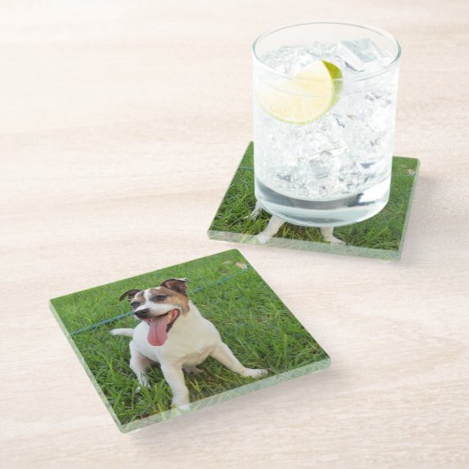Fox Terrier, Zunge in der Wange, Glasuntersetzer (Schrägansicht)