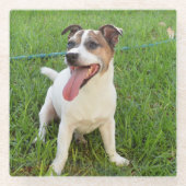 Fox Terrier, Zunge in der Wange, Glasuntersetzer (Vorderseite)