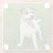 Fox Terrier, Zunge in der Wange, Glasuntersetzer (Rückseite)