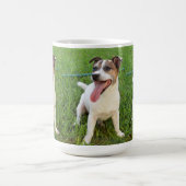 Fox Terrier, Zunge in der Wange, Kaffeetasse (Mittel)