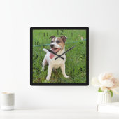 Fox Terrier, Zunge in der Wange, Quadratische Wanduhr (Zuhause)