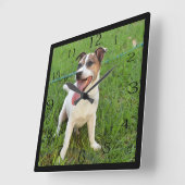 Fox Terrier, Zunge in der Wange, Quadratische Wanduhr (Winkel)