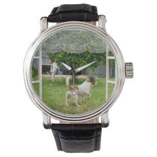 Fox Terriers, die den Garten erkunden, Armbanduhr