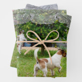 Fox Terriers, die den Garten erkunden, Geschenkpapier Set (Beispiel)