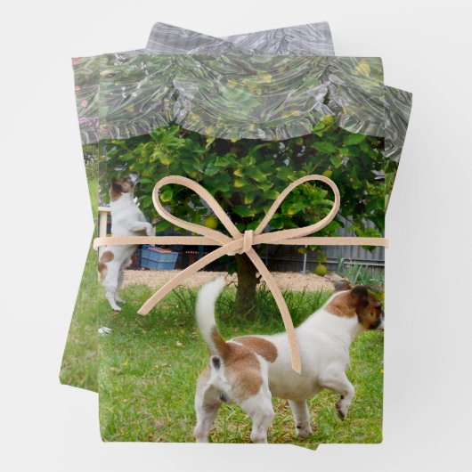Fox Terriers, die den Garten erkunden, Geschenkpapier Set (Beispiel)