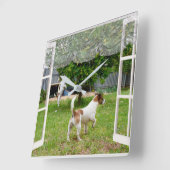 Fox Terriers, die den Garten erkunden, Quadratische Wanduhr (Winkel)