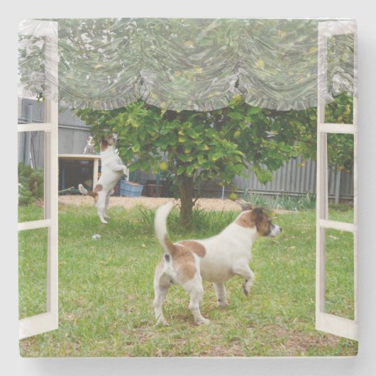 Fox Terriers, die den Garten erkunden, Steinuntersetzer (Vorderseite)