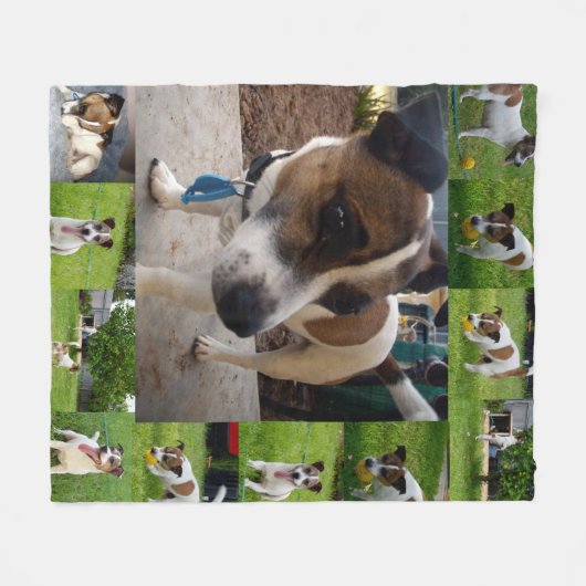 Fox Terriers in einer FotoCollage, Fleecedecke (Vorderseite (Horizontal))