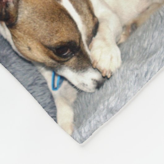 Fox Terriers in einer FotoCollage, Fleecedecke (Ecke)