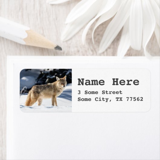 Fox Themed Rücksendeadressen-Aufklebers (Insitu)