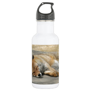 Fox-Tierbüro-Duschen-Party-Kunst Trinkflasche