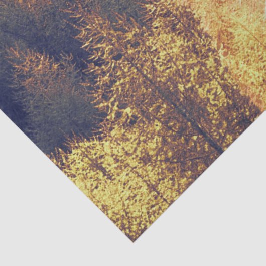 Fox-Tissue-Papier Seidenpapier (Detail)