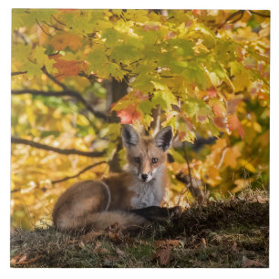 Fox und Foliage Fliese