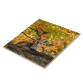 Fox und Foliage Fliese (Seite)