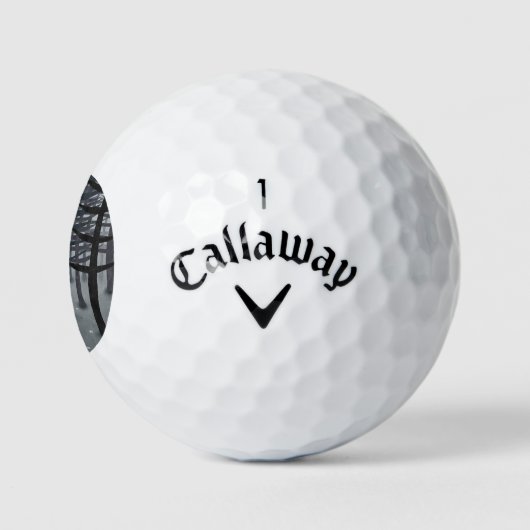 Fox und Forest Golfball (Logo)
