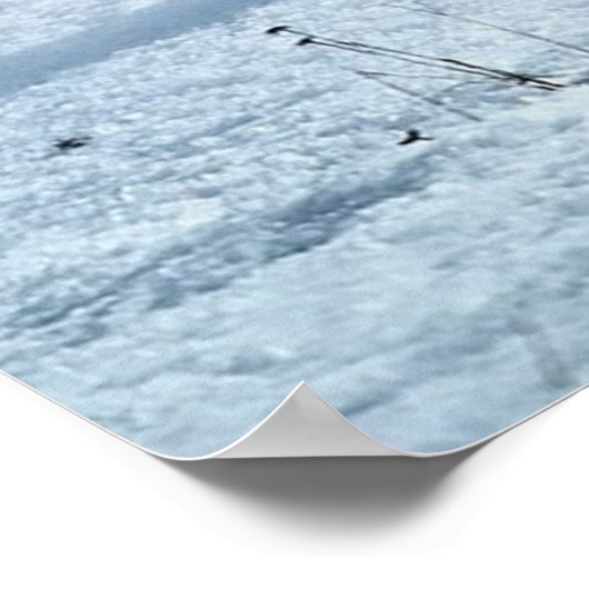 Fox und Freunde Poster (Ecke)