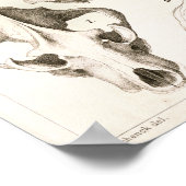 Fox und Hyena Skulls Veterinärmedizinische Anatomi Poster (Ecke)