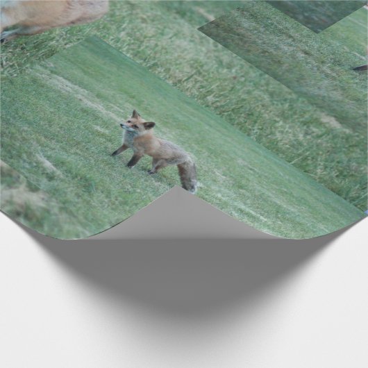 Fox und Land mit Stall, Rotfuchs Geschenkpapier (Ecke)