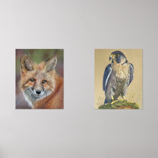 Fox- und Peregrine-Falkendrucke Bilderwand Sets (Vorderseite)
