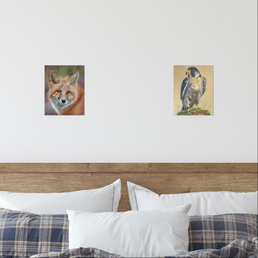 Fox- und Peregrine-Falkendrucke Bilderwand Sets (Schlafzimmer)