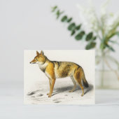 Fox vintage illustrated postkarte (Stehend Vorderseite)