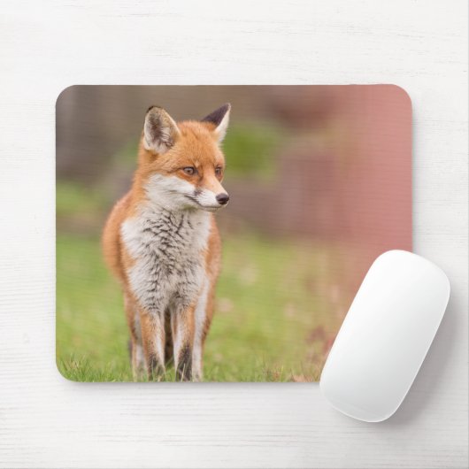 Fox Vixen Mouse Mat Mousepad (Mit Mouse)