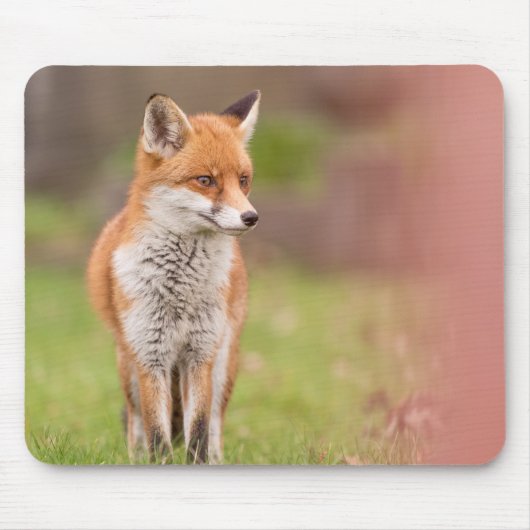 Fox Vixen Mouse Mat Mousepad (Vorne)