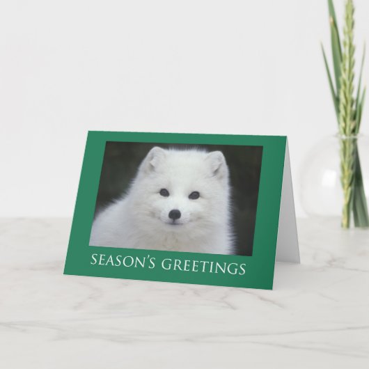 Fox-Weihnachtskarten Feiertagskarte (Vorderseite)