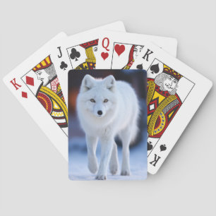 Fox Wildlife Animal auf der Straße im Freien Spielkarten