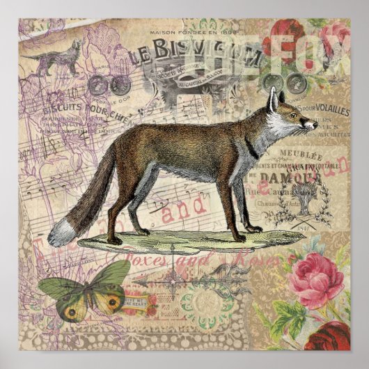 Fox Wildlife Collage Vintag Illustration Poster (Vorne)