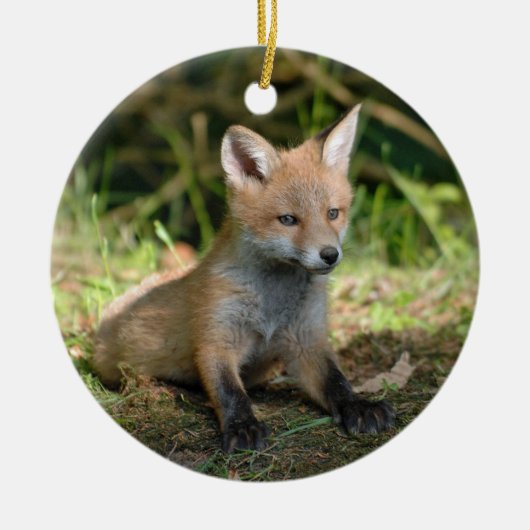 Fox Wildlife Foto Keramik Ornament (Vorne)