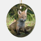 Fox Wildlife Foto Keramik Ornament (Links)