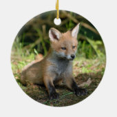 Fox Wildlife Foto Keramik Ornament (Hinten)