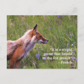 Fox Wildlife Postcard Postkarte (Vorderseite)