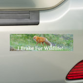 Fox Wildlife Protection-Autoaufkleber Autoaufkleber (Auf Auto)
